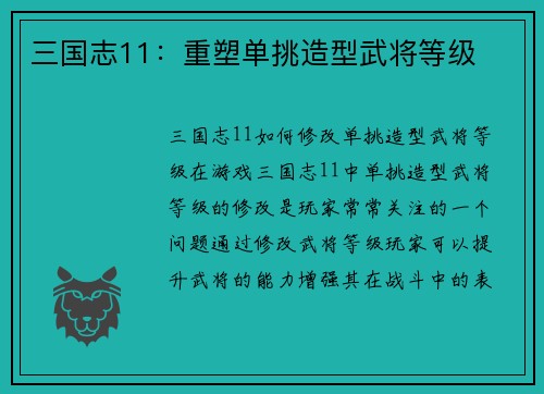 三国志11：重塑单挑造型武将等级